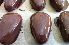IMG_3448 IMG_3448