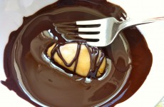 IMG_3911 IMG_3911