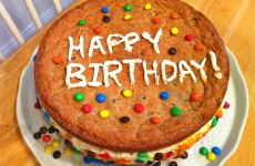 IMG_6533 IMG_6533