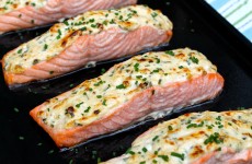 IMG_0780 IMG_0780