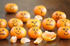 IMG_6535 IMG_6535