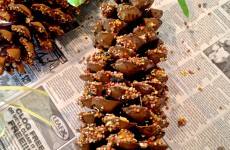 IMG_0776 IMG_0776