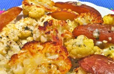 IMG_5326 IMG_5326