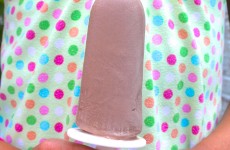 IMG_4526 IMG_4526
