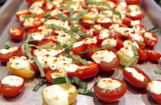IMG_4037 IMG_4037