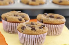 IMG_5702 IMG_5702