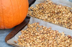 IMG_1741 IMG_1741