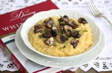 IMG_2518 IMG_2518