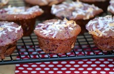 IMG_3170 IMG_3170