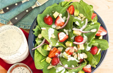 SQS-May-Strawberries-29 - Version 2 (1)