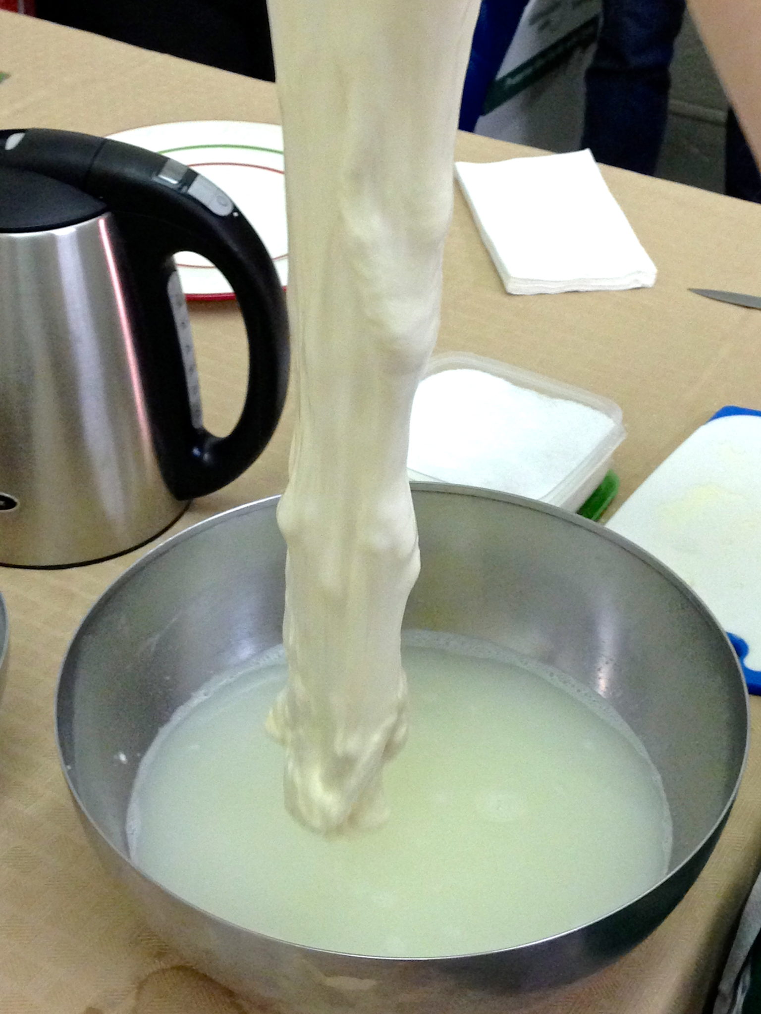 Come Scongelare In Fretta La Mozzarella