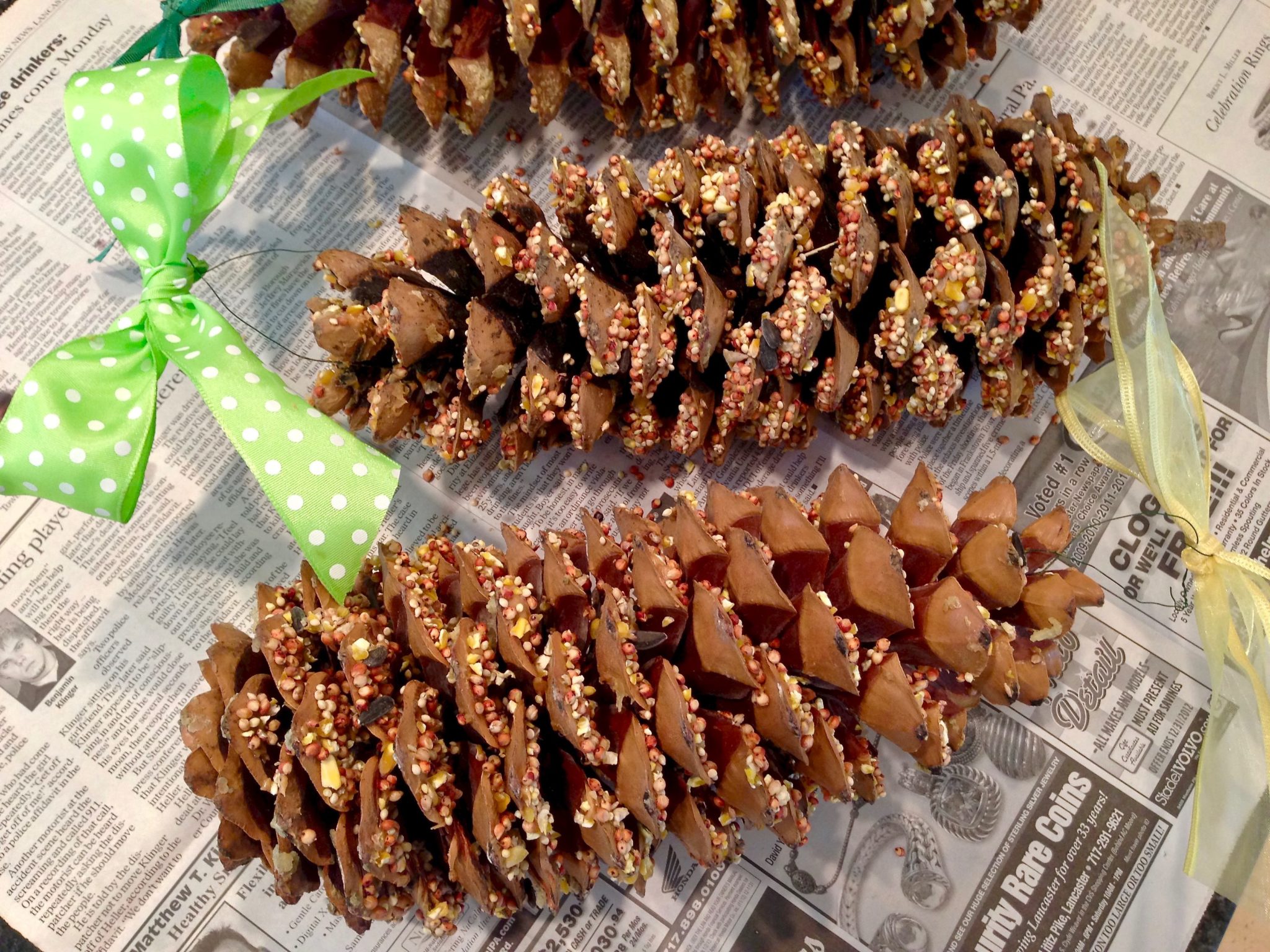 Peanut butter bird feeder sales