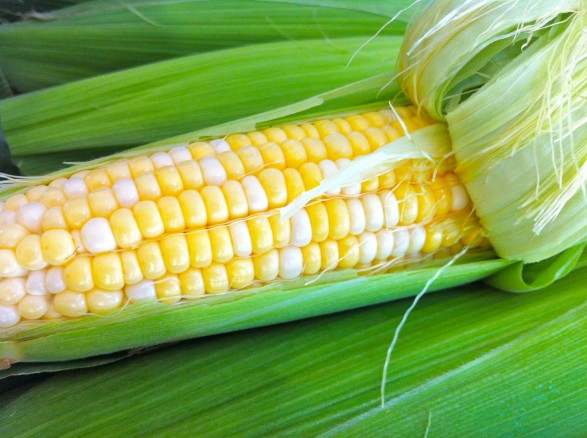 What We Get Wrong About Corn - Fountain Avenue Kitchen