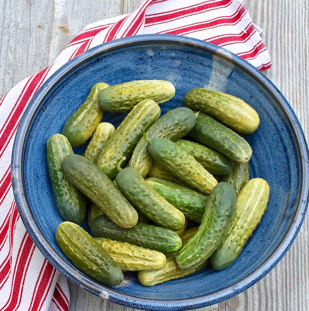 Refrigerator Dill Pickles – No canner is needed and once the spices are assembled, these crisp pickles come together easily and may just become a summertime favorite!