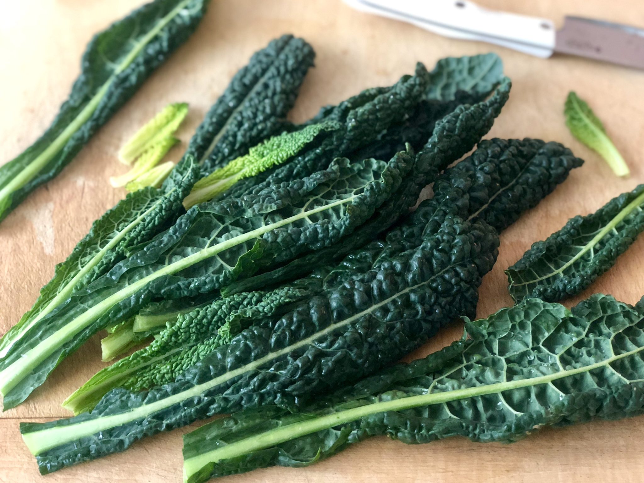 dinosaur kale