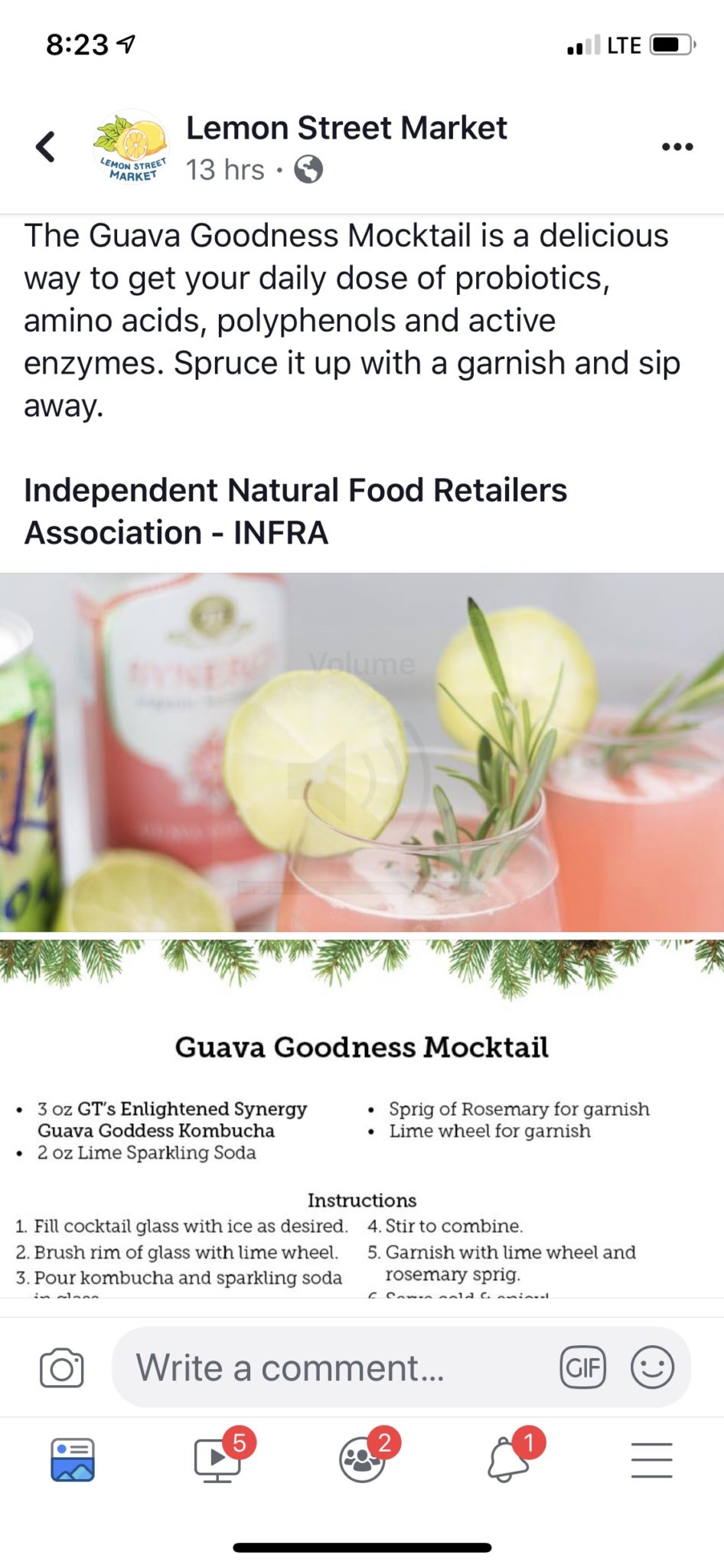 Kombucha Mocktail
