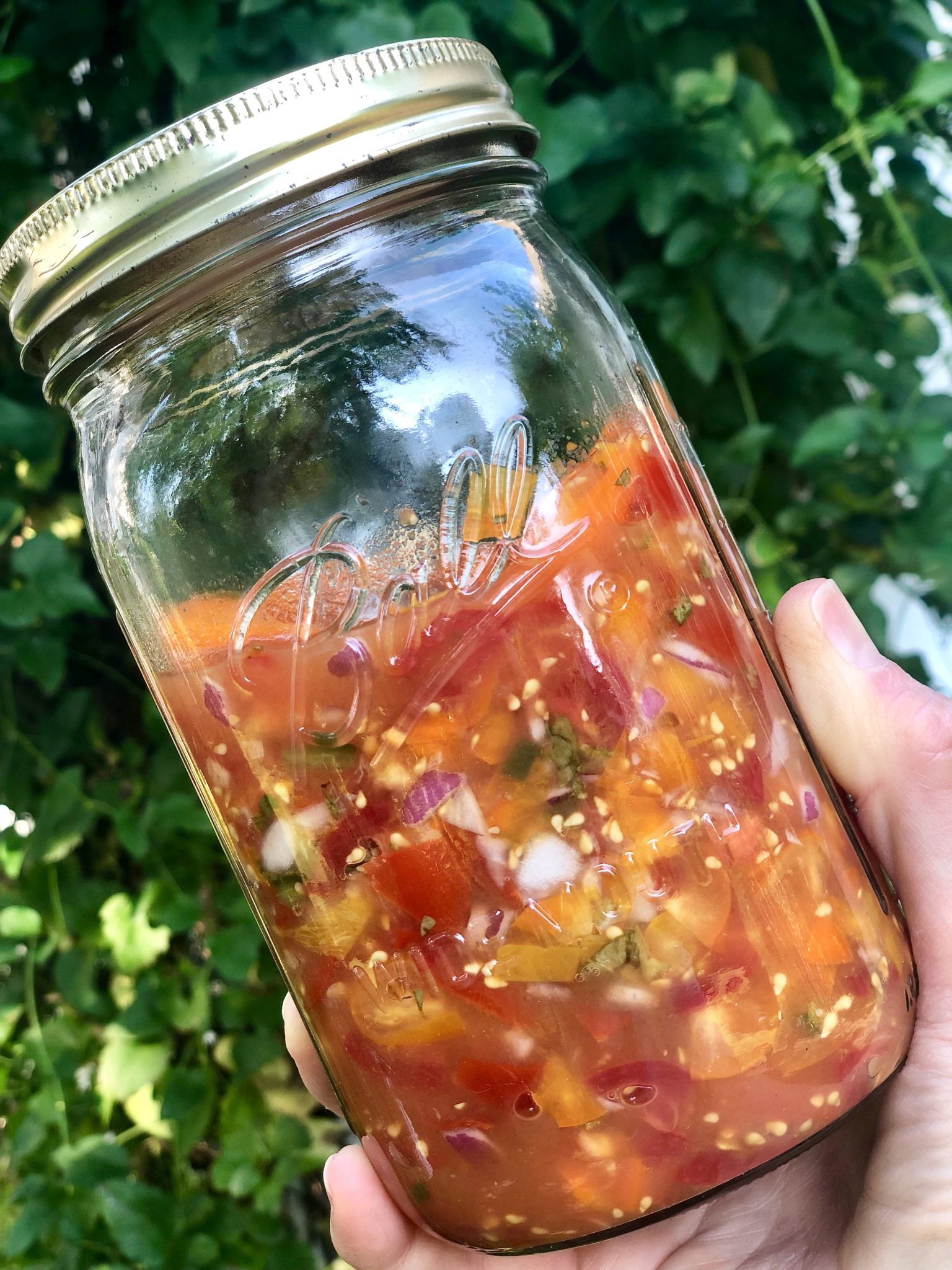 EASY FERMENTED (or FRESH) GARDEN SALSA-Healthy, flavorful salsa can be gut-healthy, too! You may also enjoy this salsa fresh, but it only takes 2 days for the probiotics to develop.