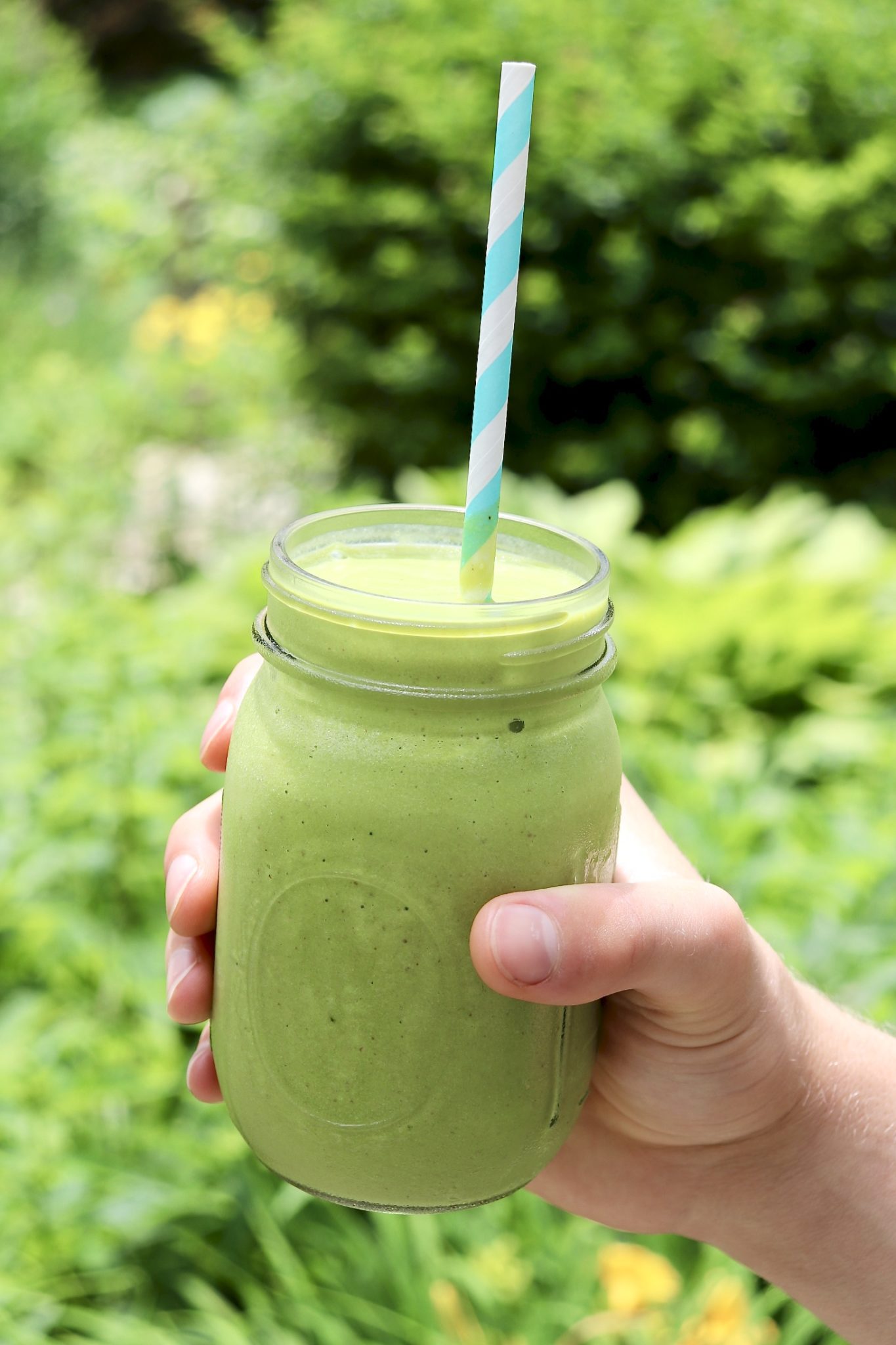 MEAL REPLACEMENT MATCHA SMOOTHIE is loaded with superfoods, quality protein and a modest amount of fruit-and it's absolutely delicious. You need not be a matcha fan to love this smoothie!