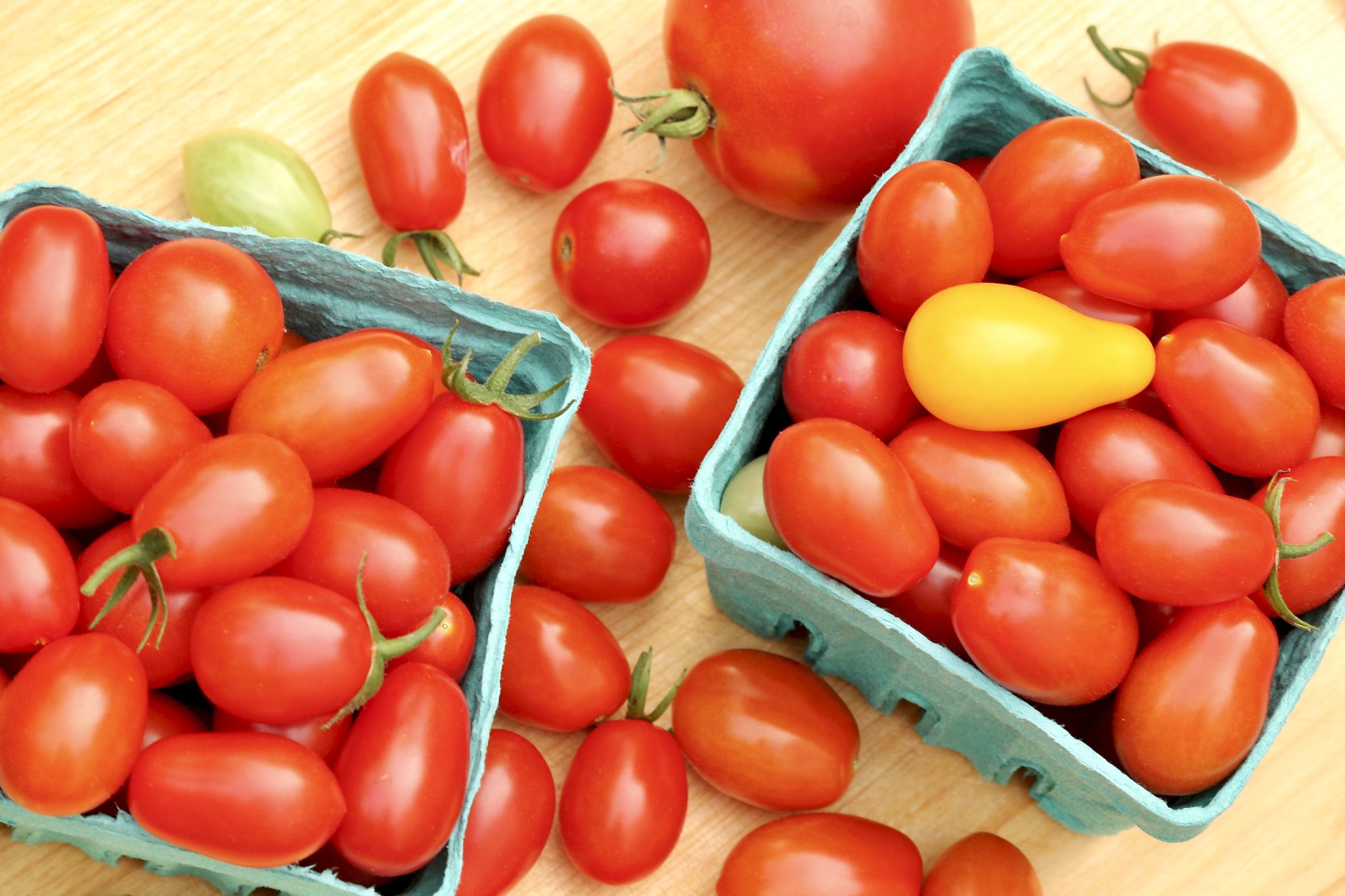 fresh tomatoes