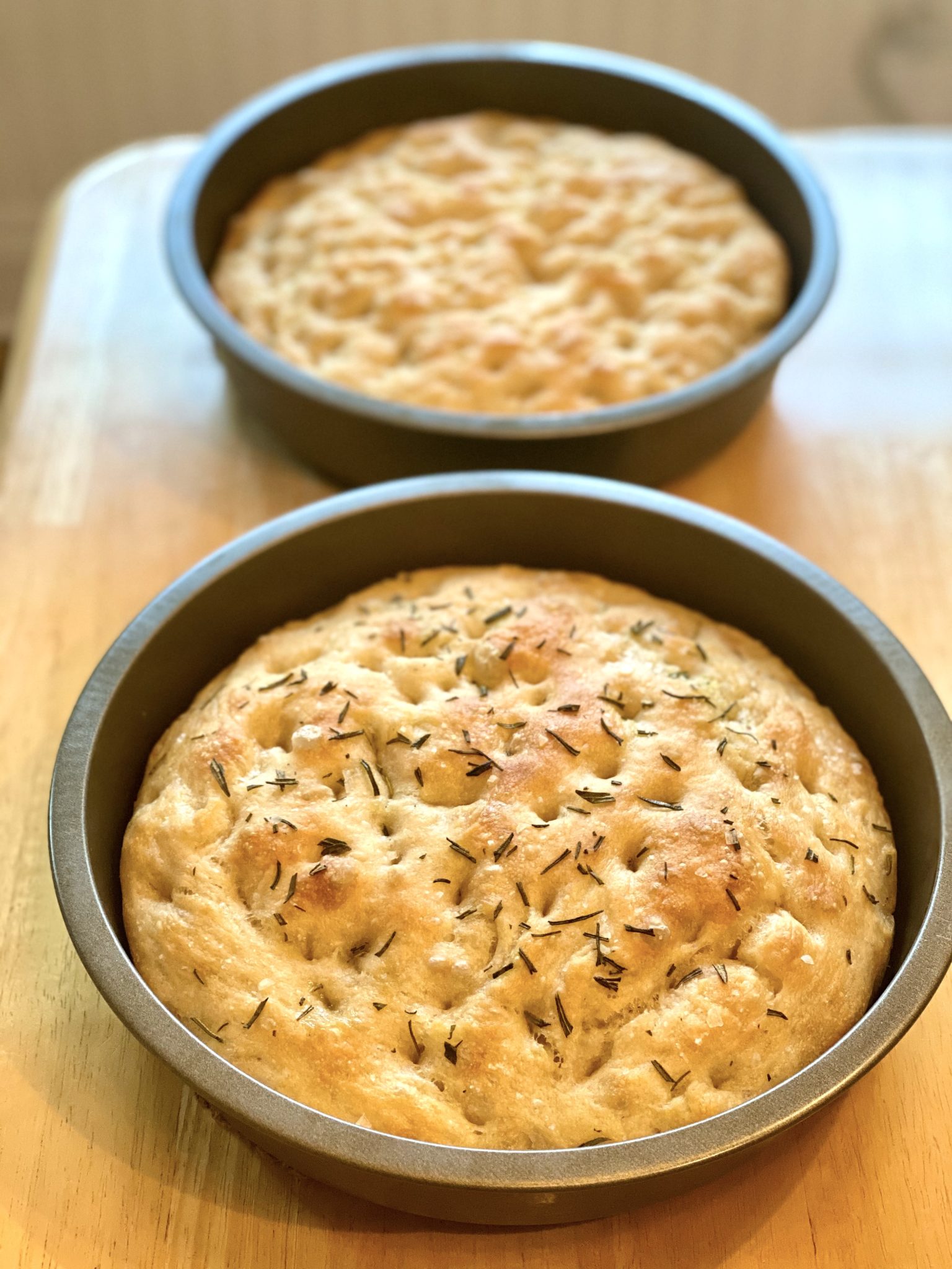 Ten quick minutes of prep and an overnight rest in the refrigerator is all that's needed for foolproof, bakery quality bread. No kneading required!