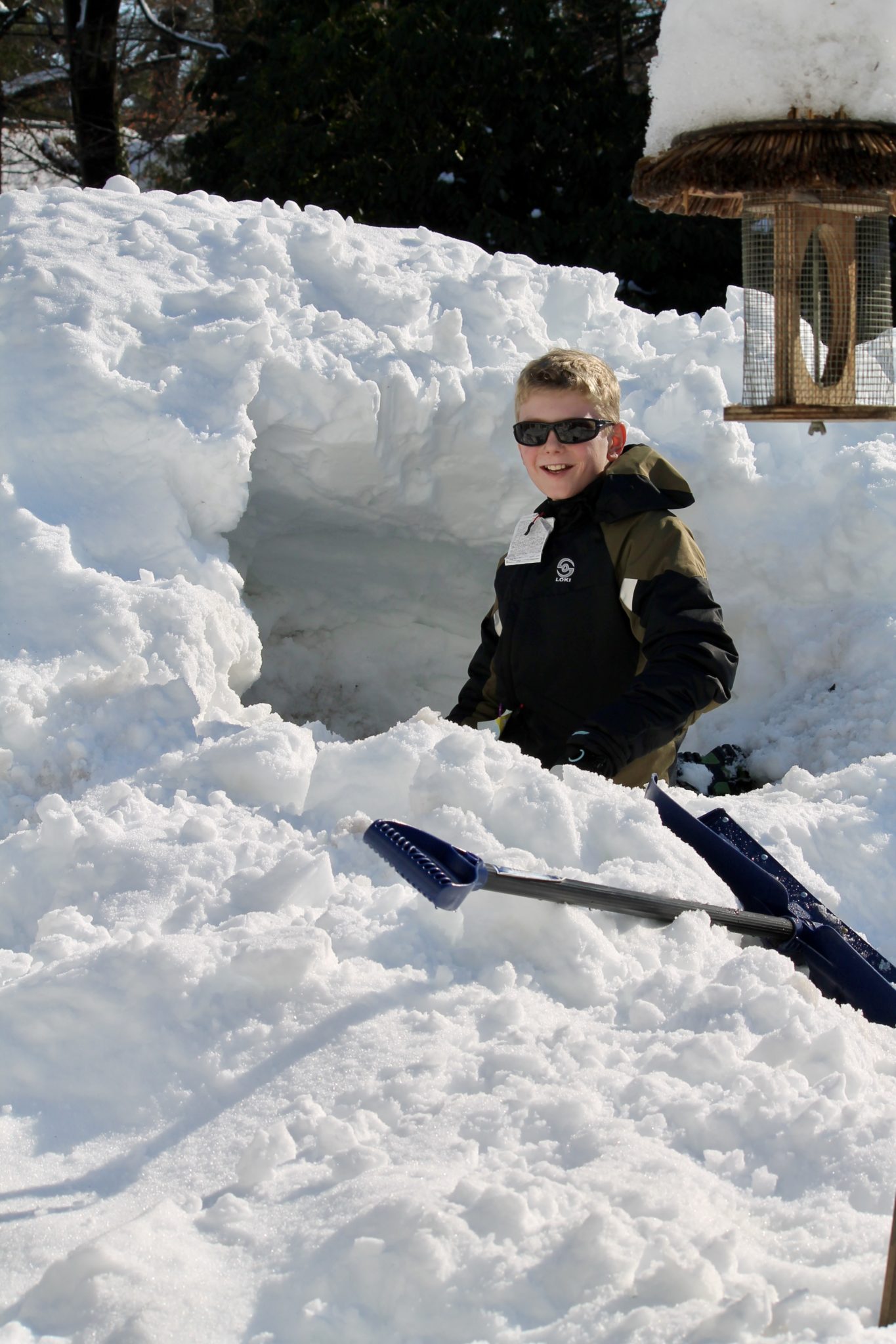 Snow Day!