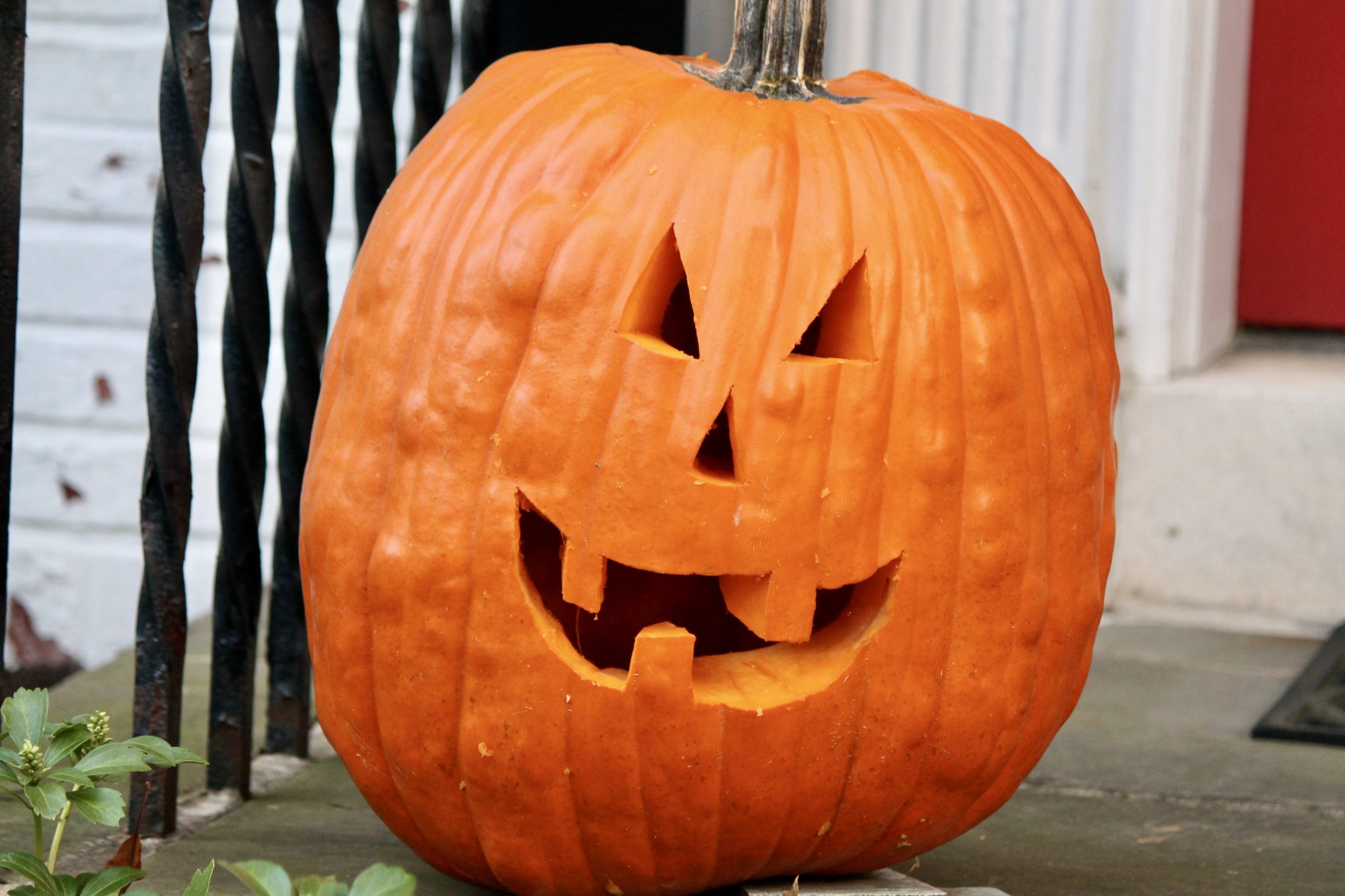 Pumpkin carving!
