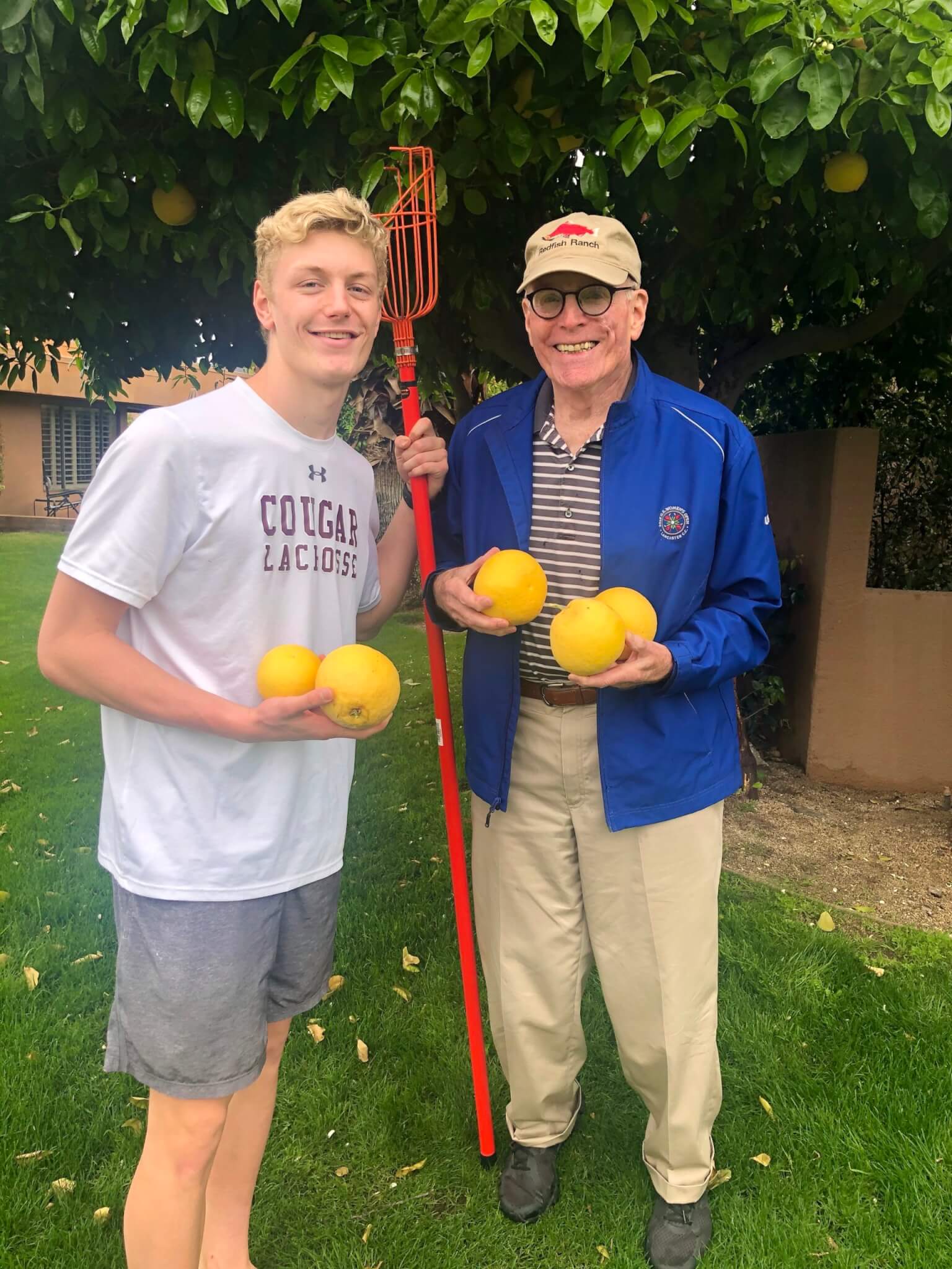 grapefruit picking 2020