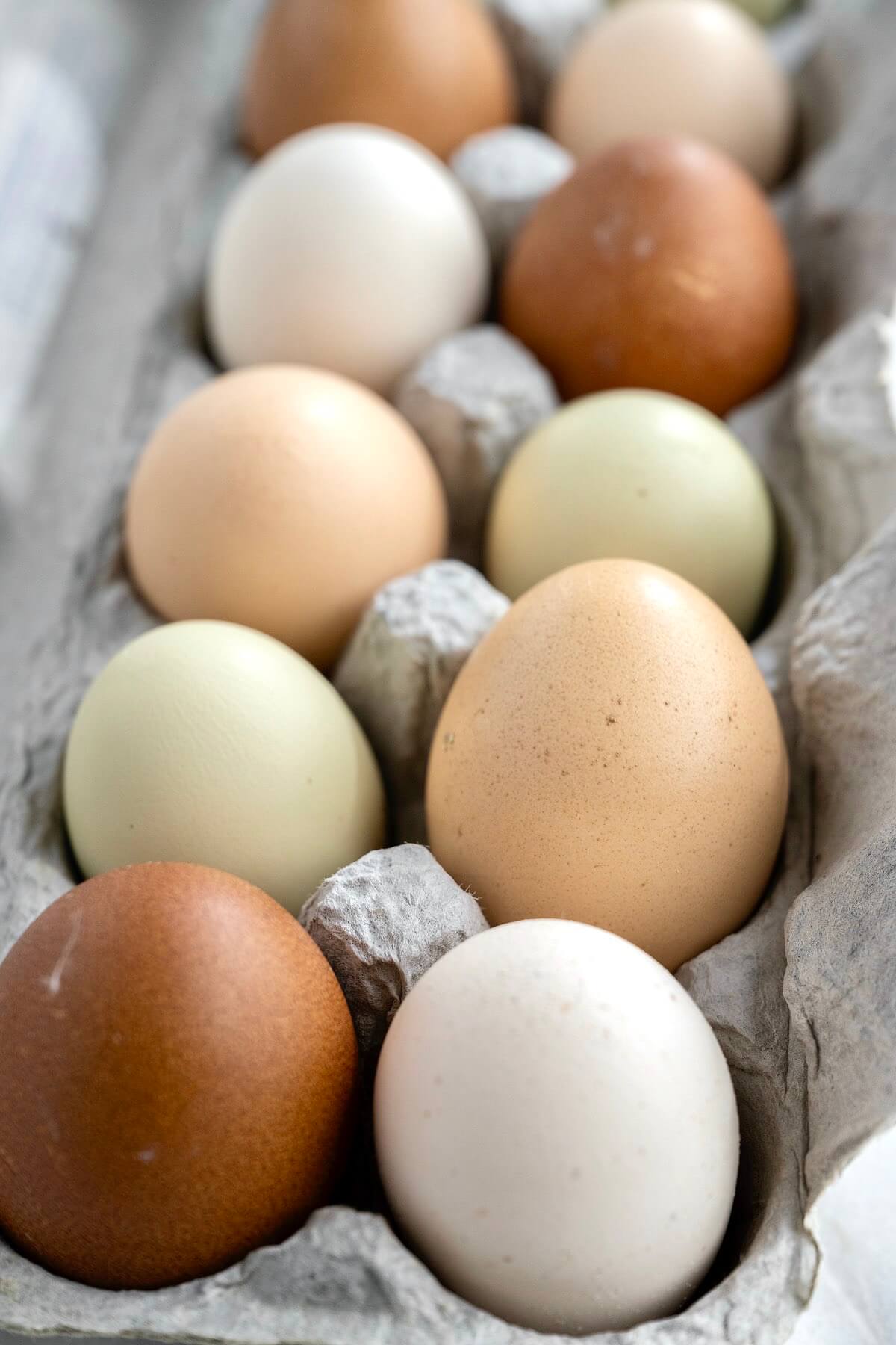 Farm fresh eggs!