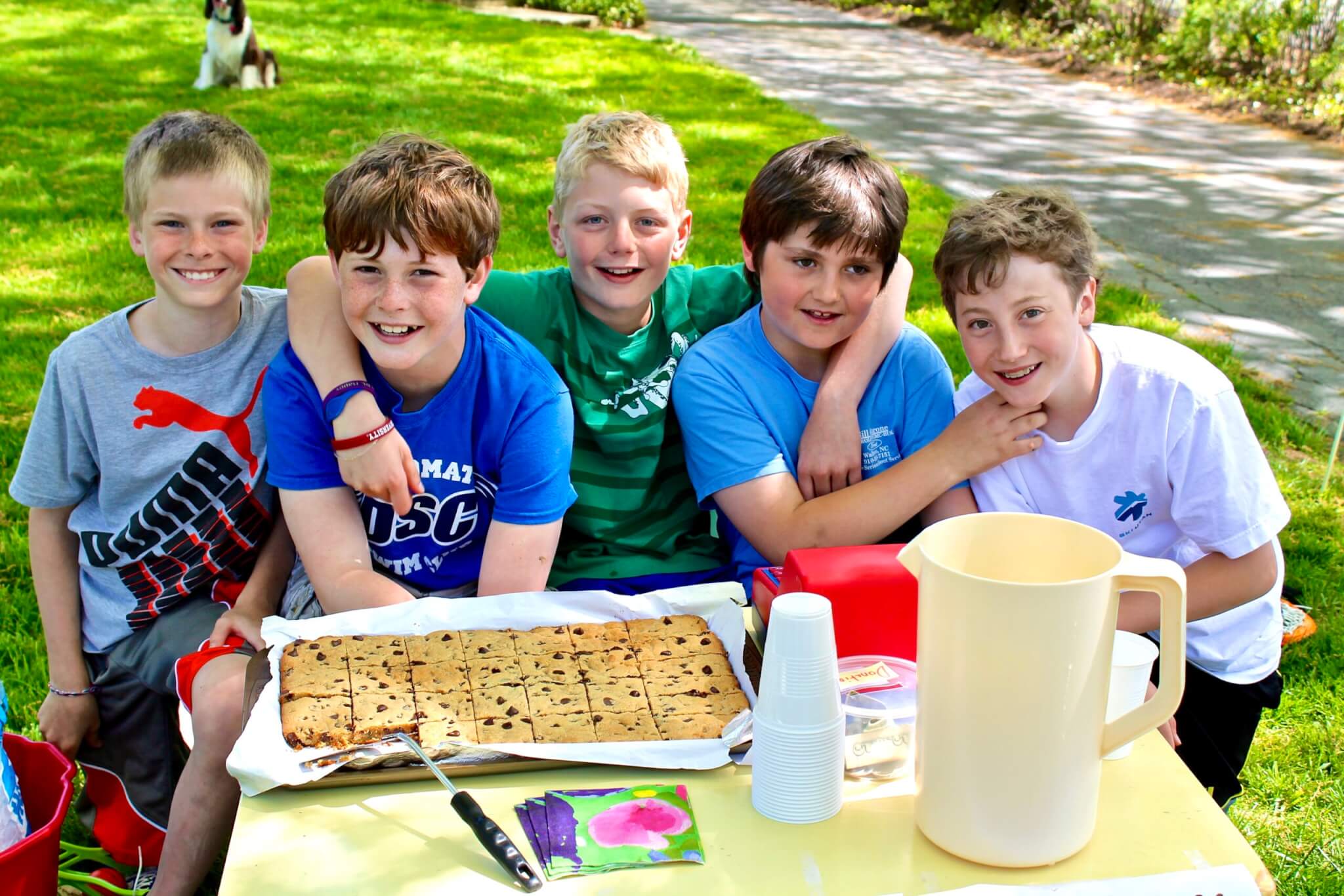 Summer Lemonade Stand